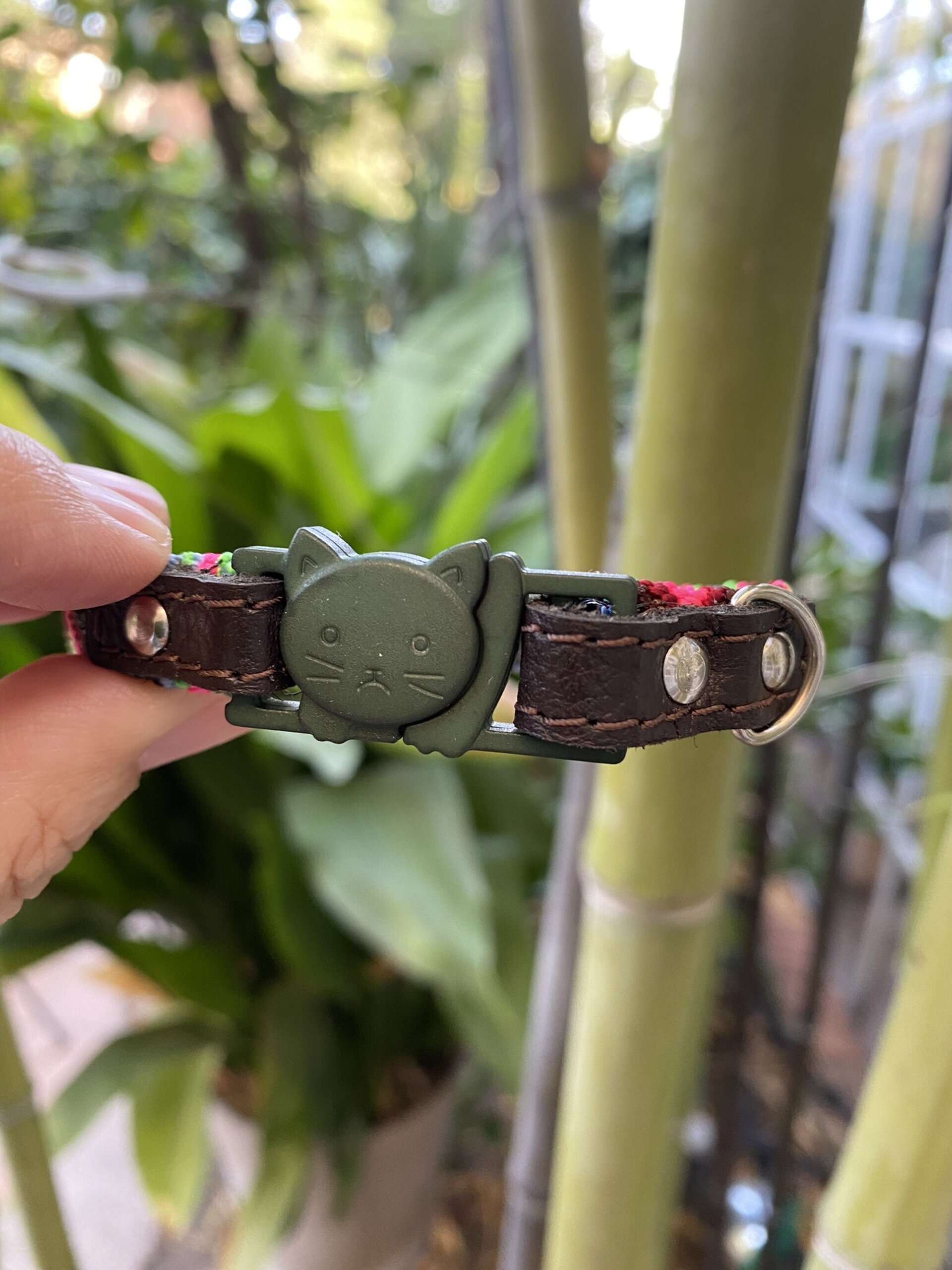 Collar GATO S VERDE 22 cm - 2