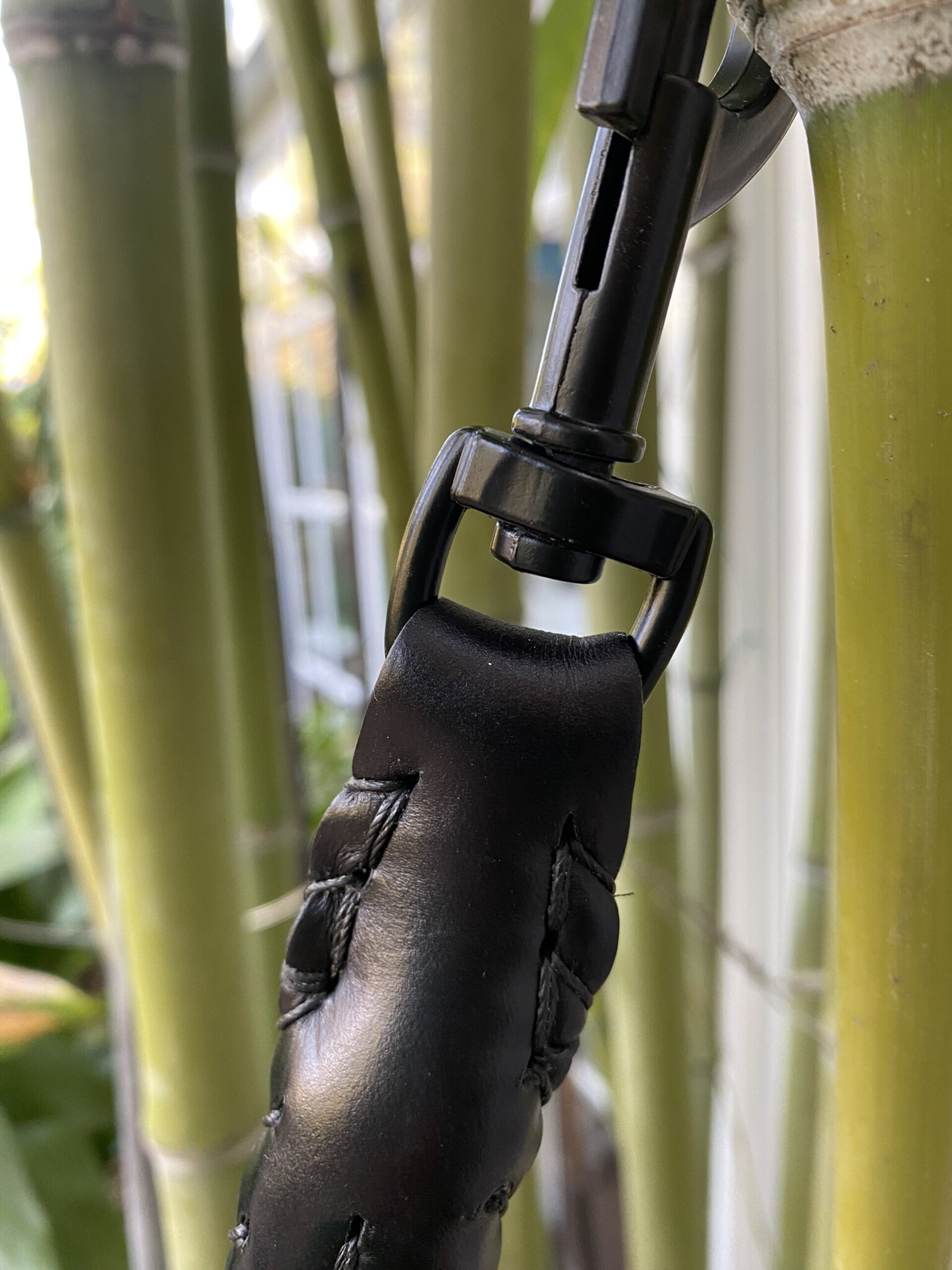 Correa XL AKUBAL - 5