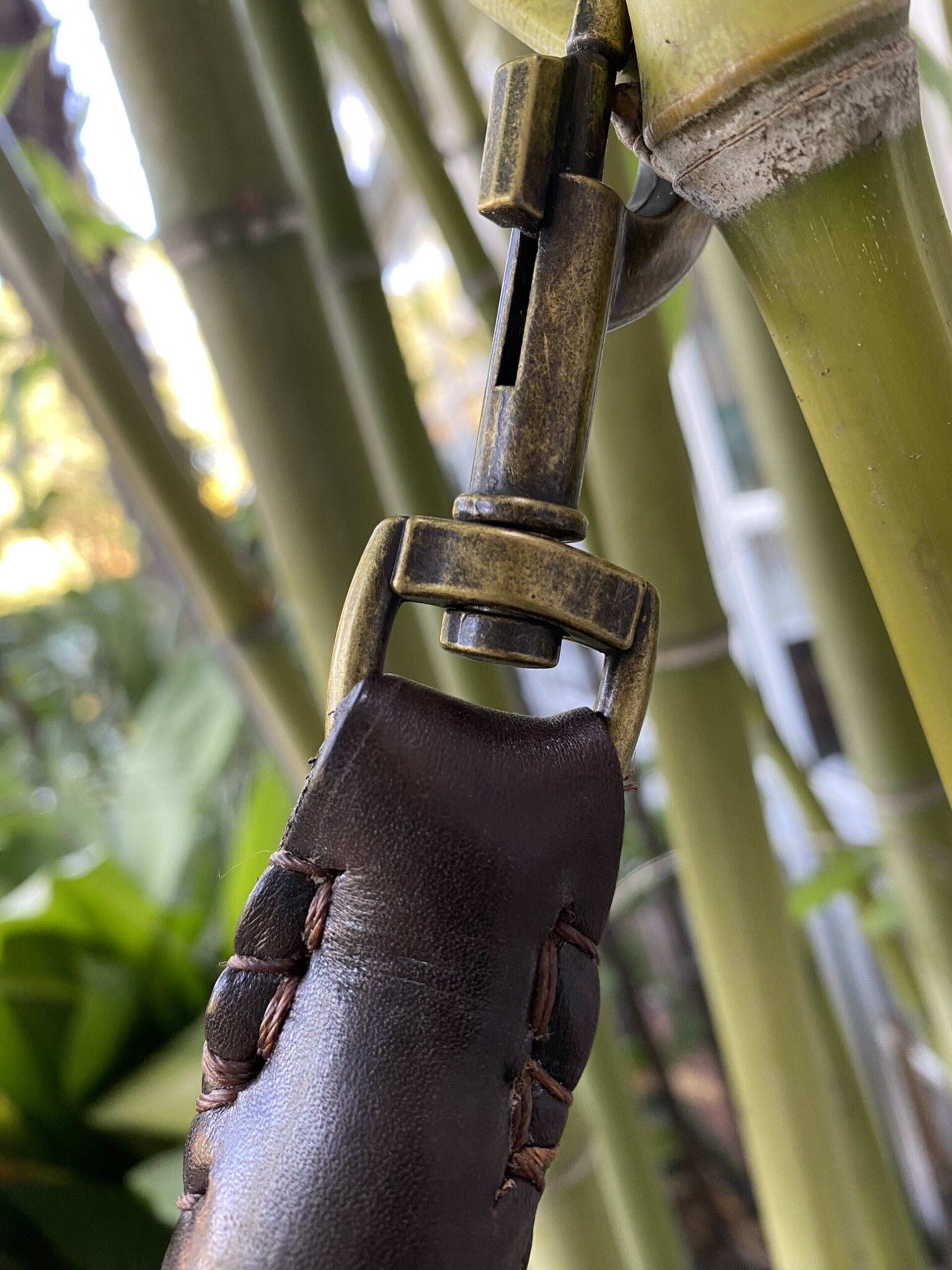 Correa XL MARRON - 2