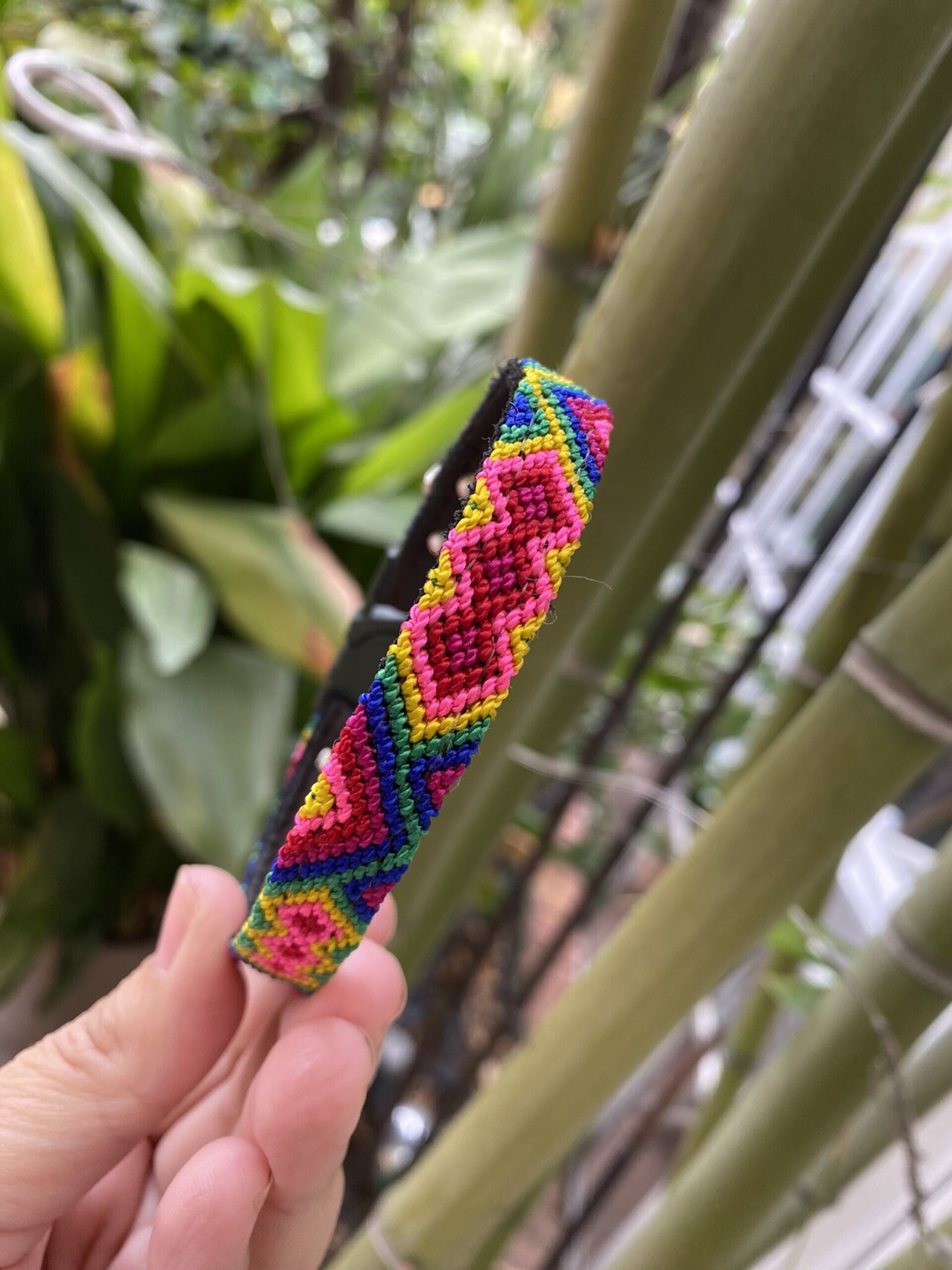 Collar GATO M NICHIM 25 cm - 5