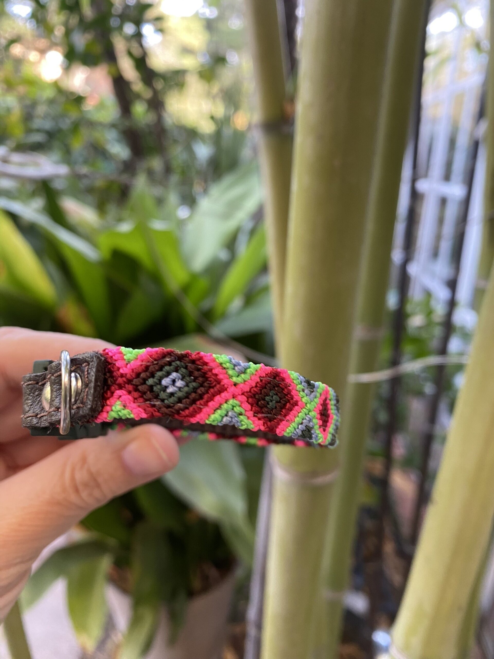 Collar GATO S VERDE 22 cm - 5