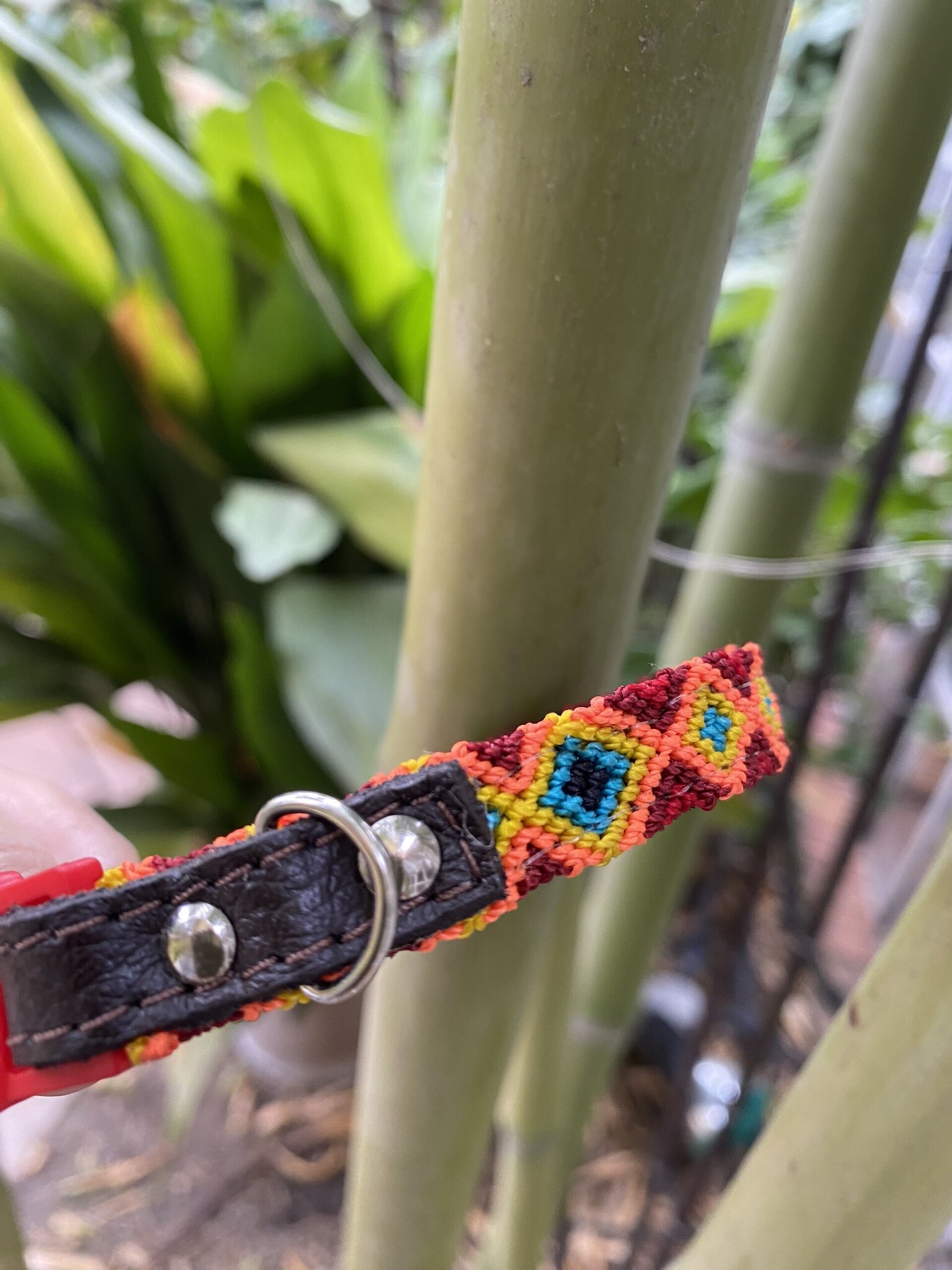 Collar GATO L KOK 26 cm - 4