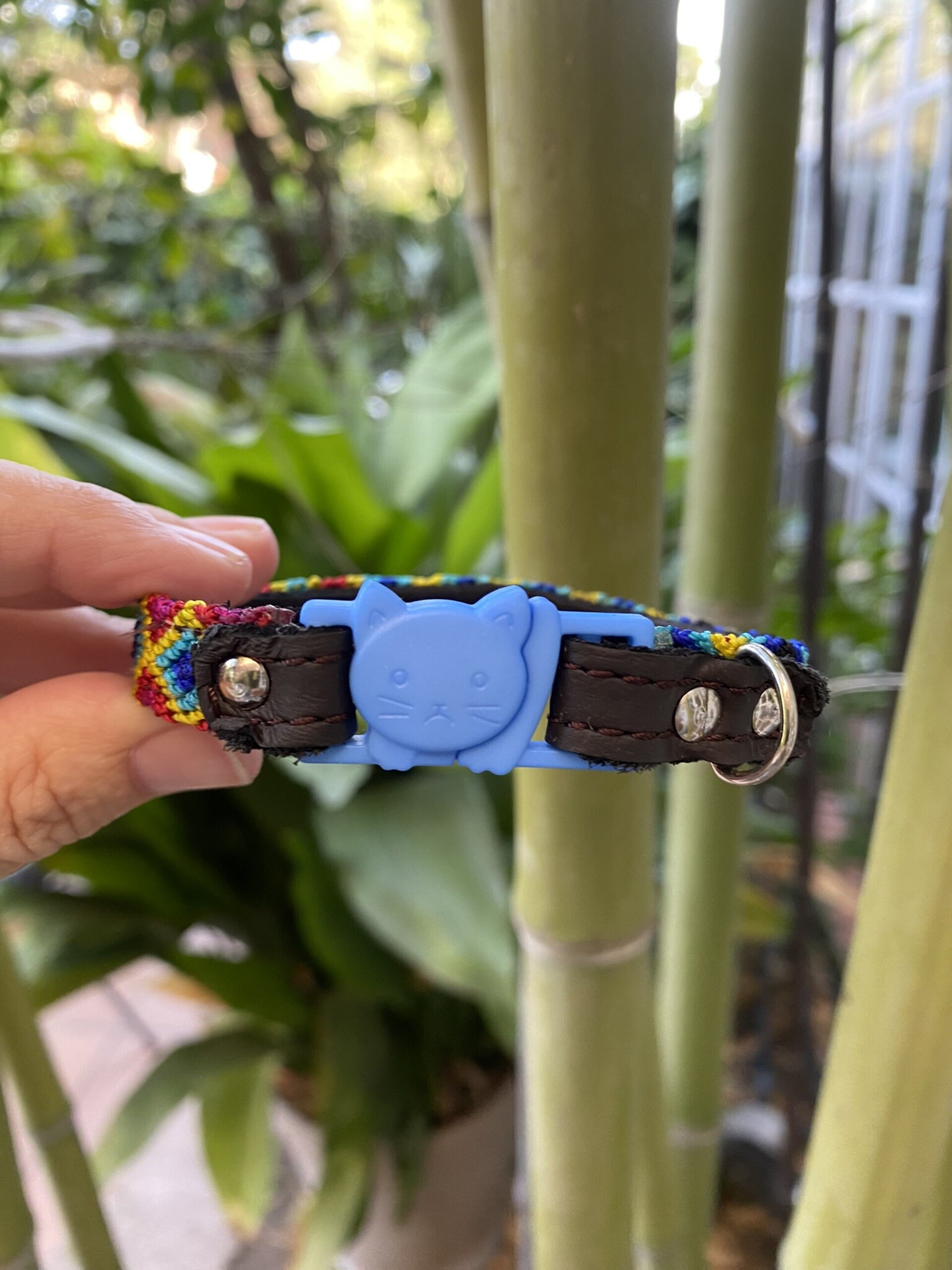 Collar GATO S azul 22 cm - 5