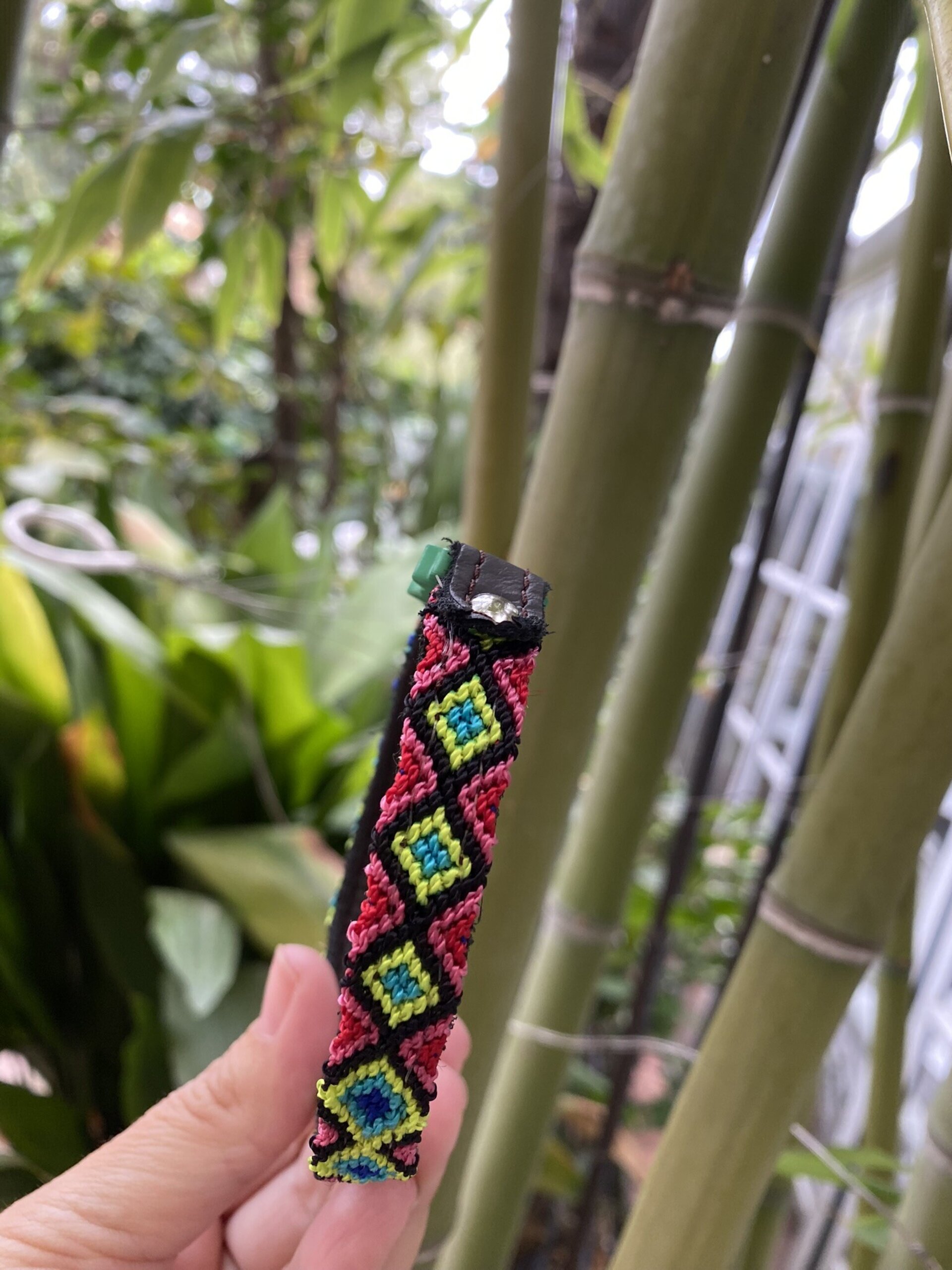 Collar GATO M VERDE 25 cm - 2