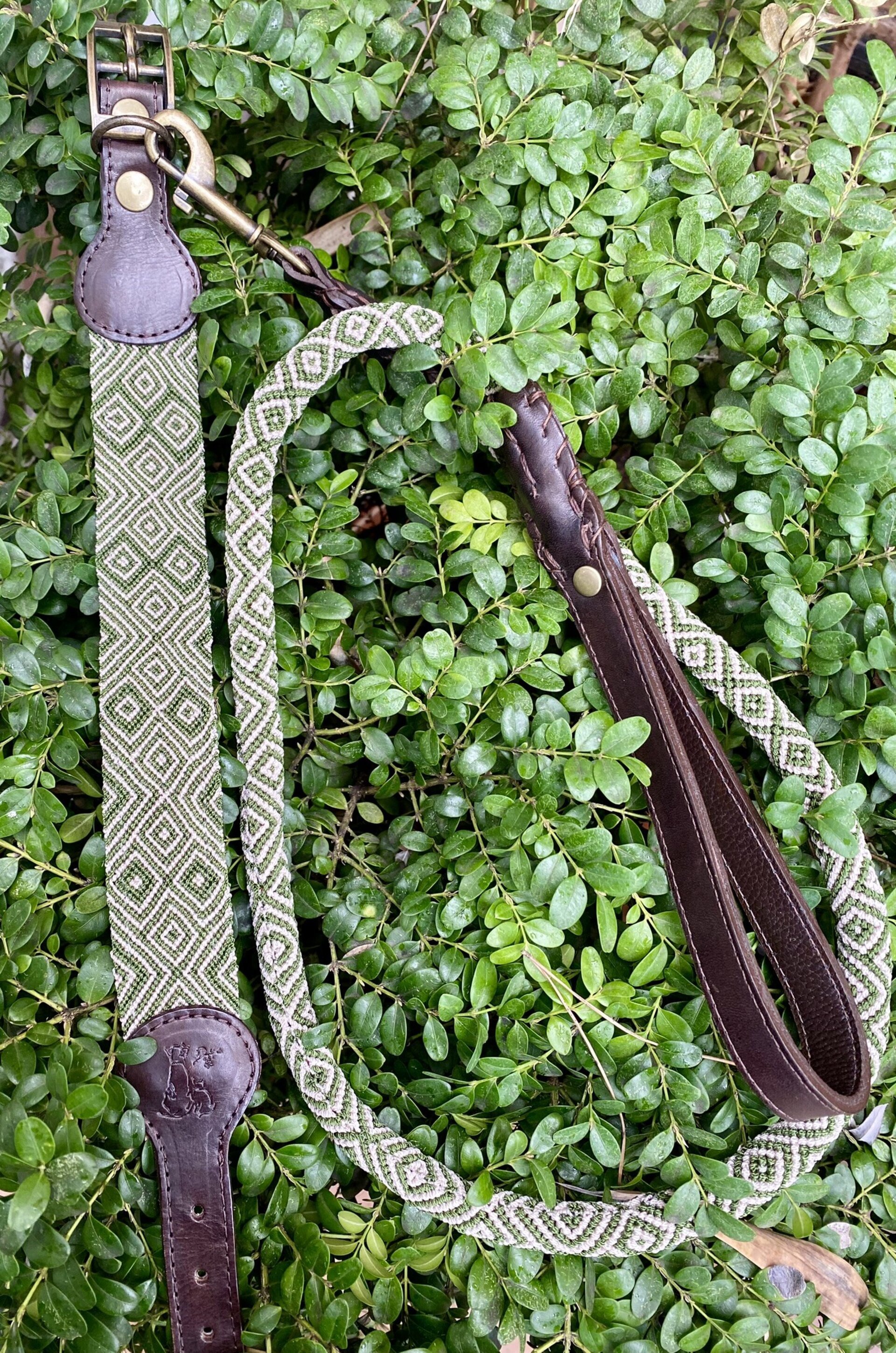 Talla 5 YOX 36/43 cm - 3