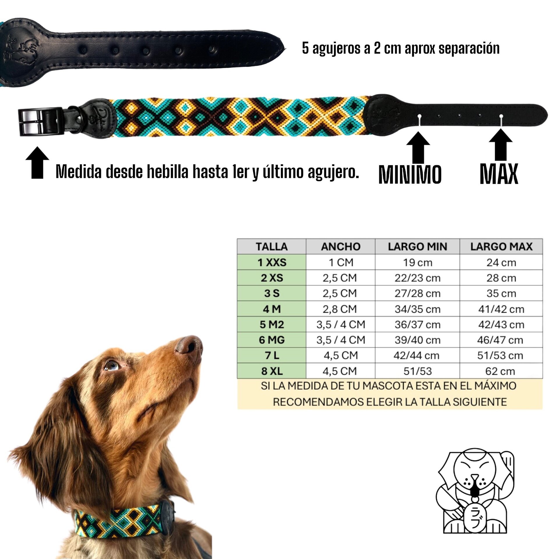 Combo FUX talla 3 (28/35cm) + correa - 4